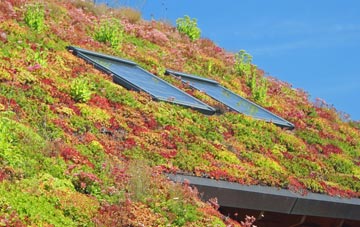 Stone Hill living roof systems